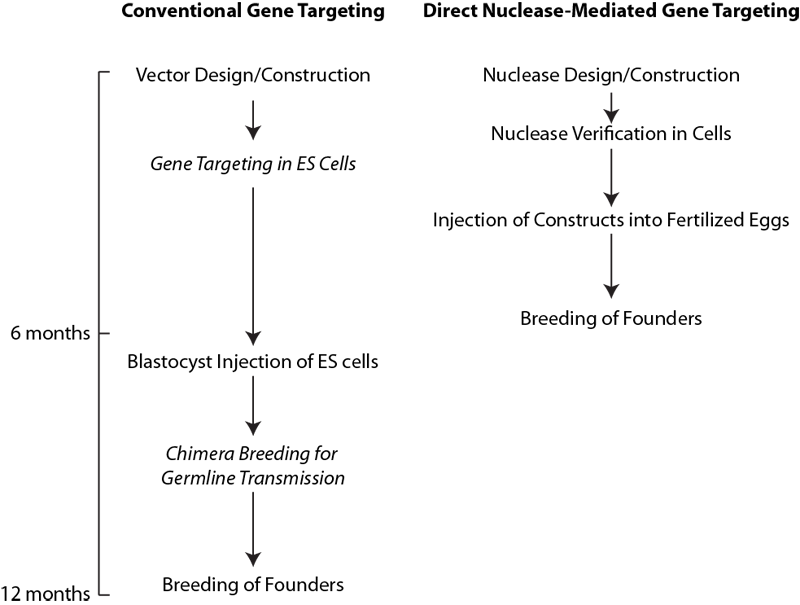 01conventionalversusdirecttargeting